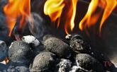 Готовь уголь летом: павлодарские чиновники призывают жителей региона закупать твердое топливо